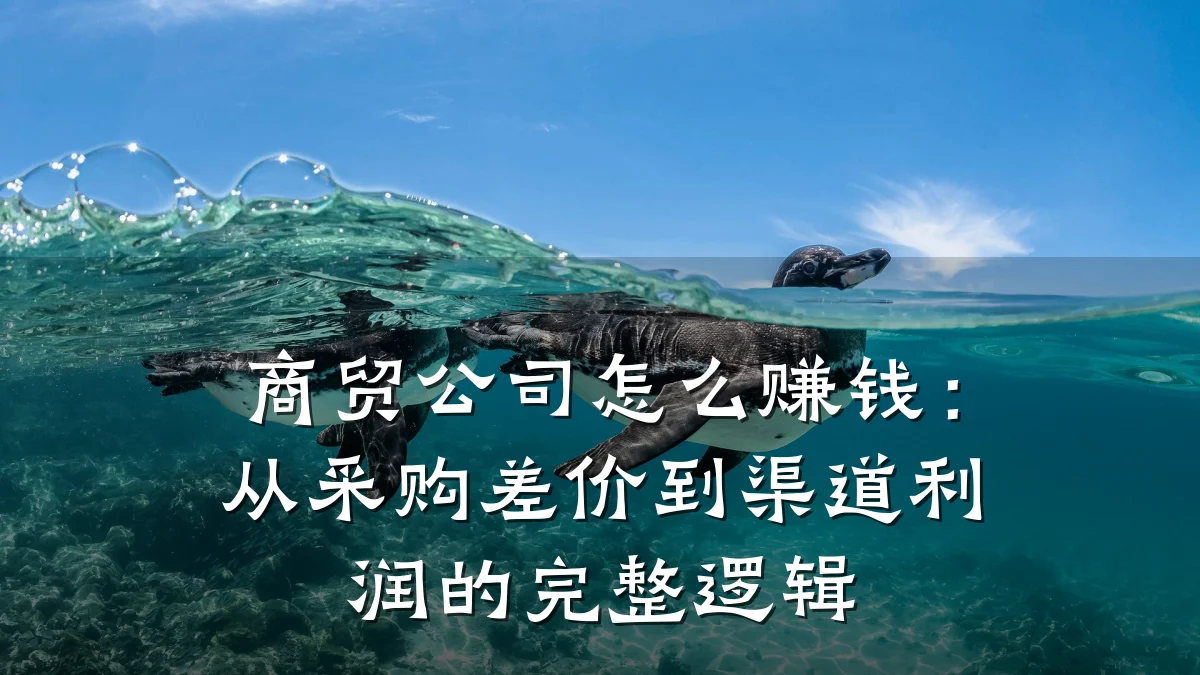 商贸公司怎么赚钱:从采购差价到渠道利润的完整逻辑