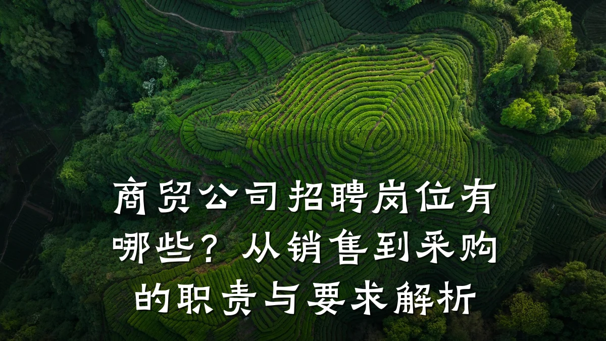 商贸公司招聘岗位有哪些？从销售到采购的职责与要求解析