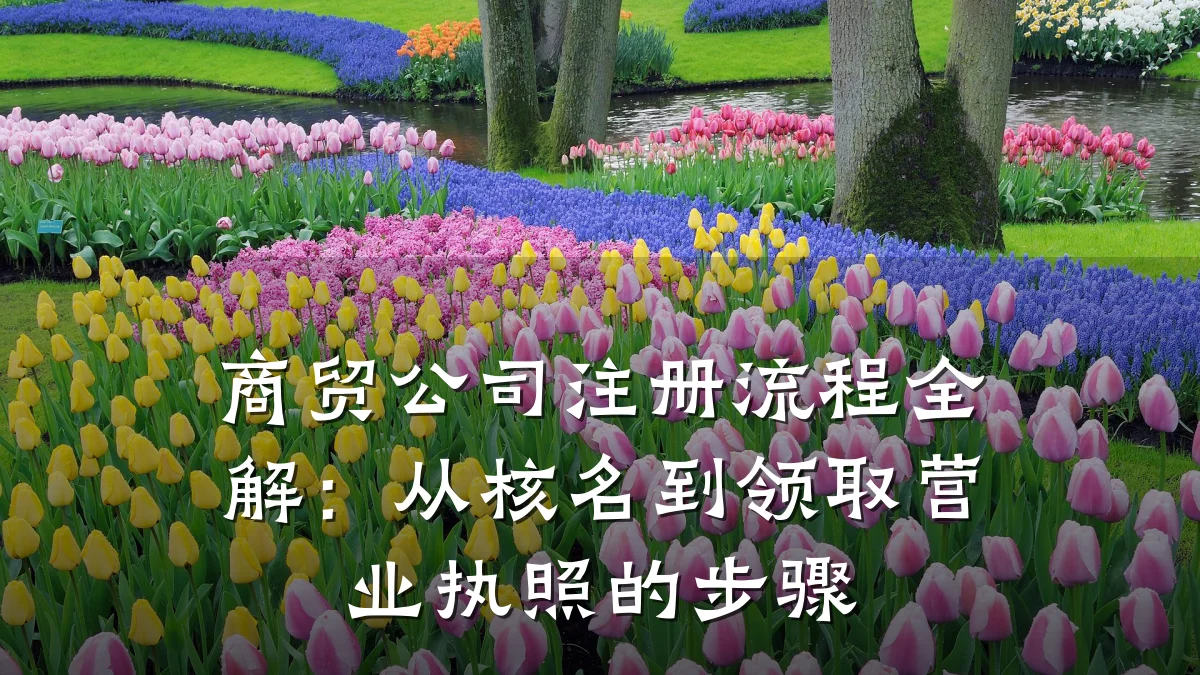 商贸公司注册流程全解:从核名到领取营业执照的步骤