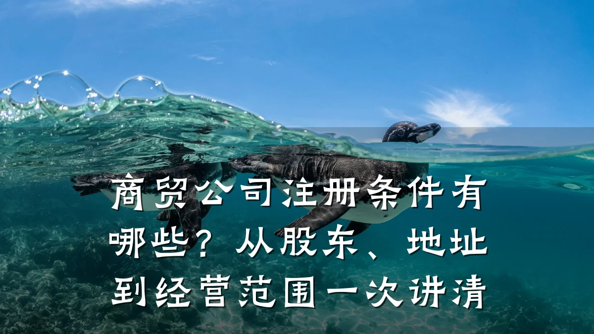 商贸公司注册条件有哪些?从股东、地址到经营范围一次讲清