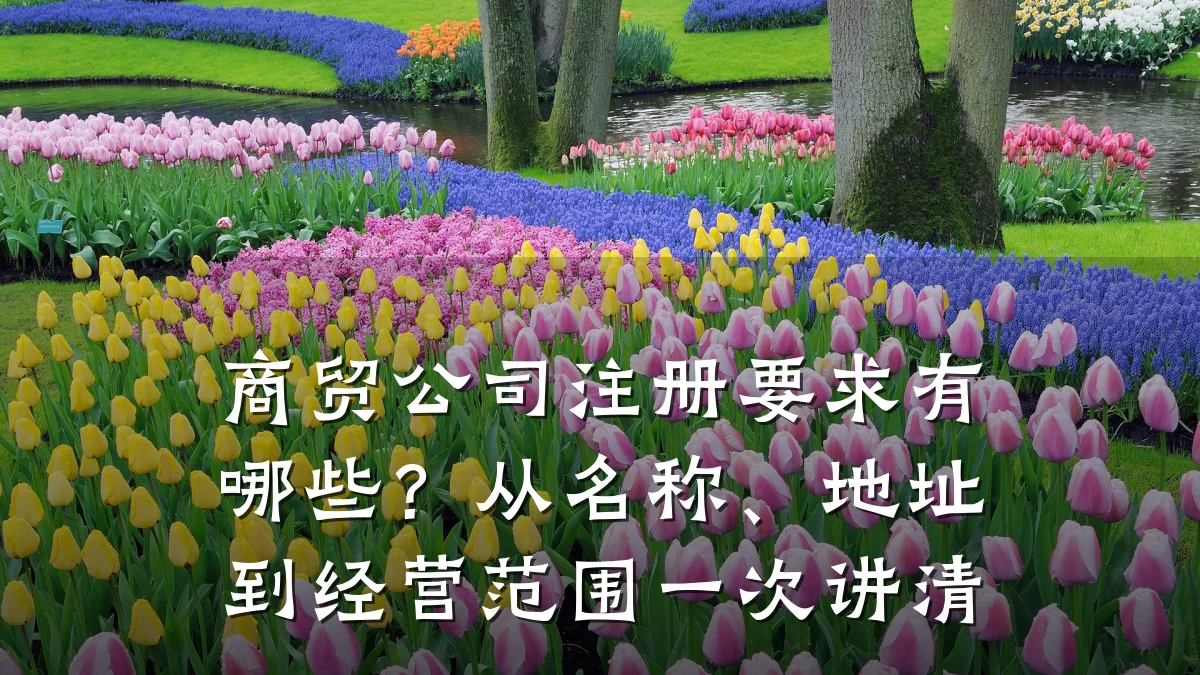 商贸公司注册要求有哪些?从名称、地址到经营范围一次讲清
