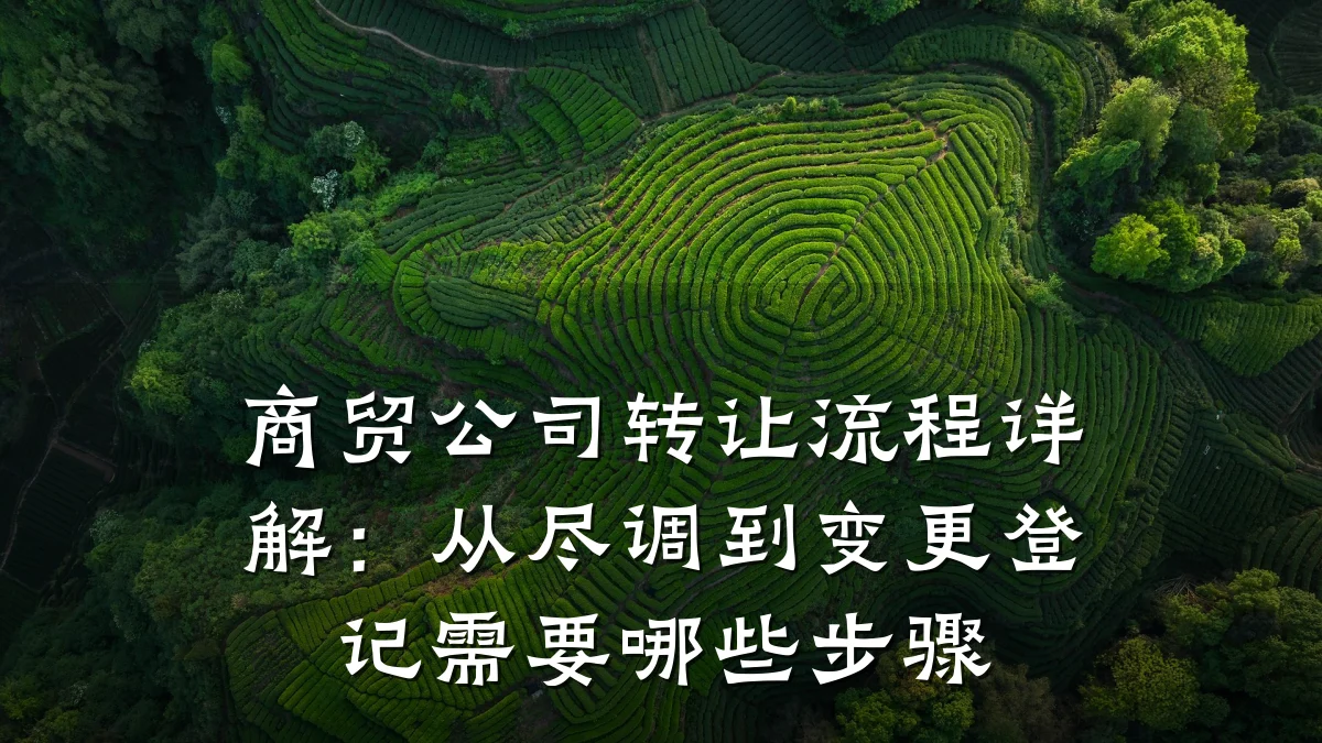 商贸公司转让流程详解:从尽调到变更登记需要哪些步骤