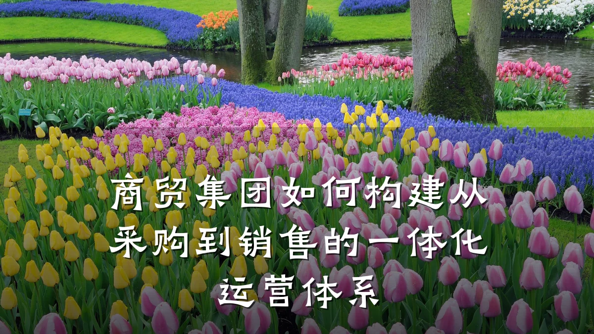 商贸集团如何构建从采购到销售的一体化运营体系