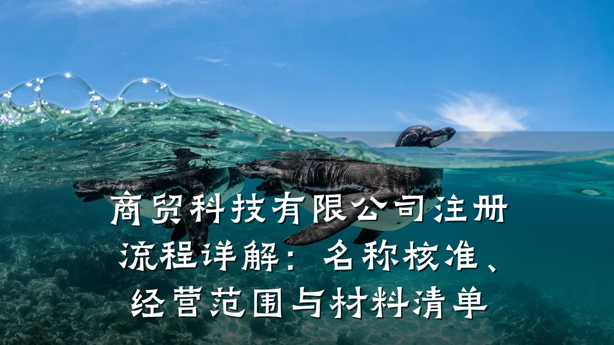 商贸科技有限公司注册流程详解:名称核准、经营范围与材料清单