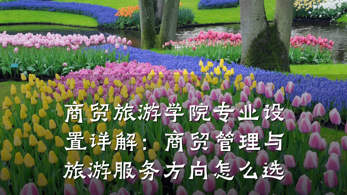 商贸旅游学院专业设置详解：商贸管理与旅游服务方向怎么选
