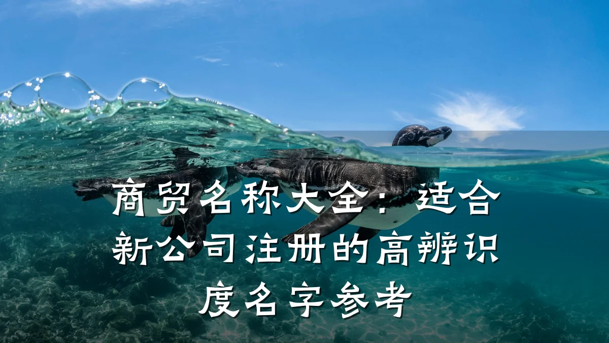 商贸名称大全:适合新公司注册的高辨识度名字参考
