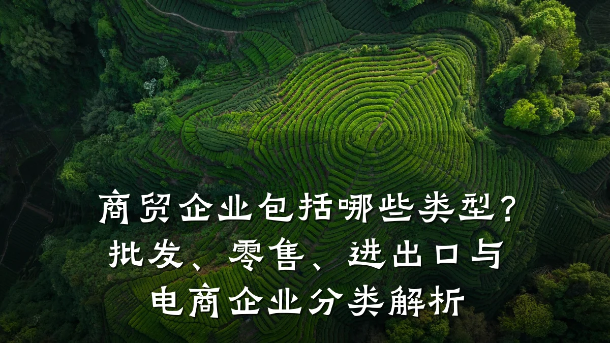 商贸企业包括哪些类型？批发、零售、进出口与电商企业分类解析