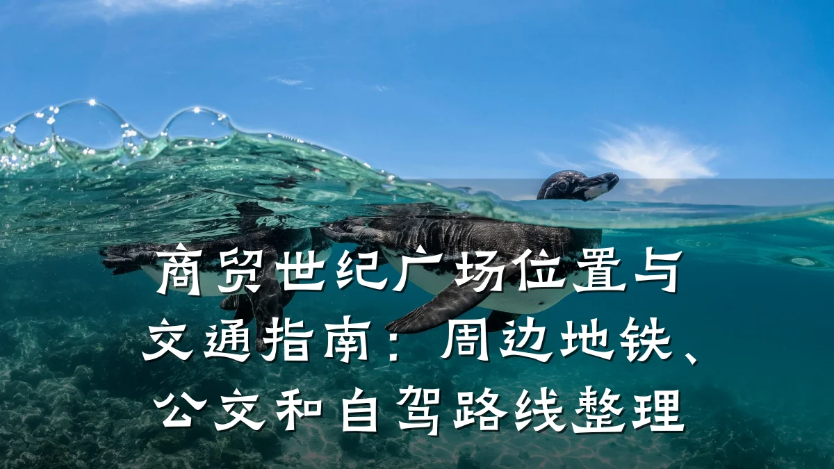 商贸世纪广场位置与交通指南:周边地铁、公交和自驾路线整理