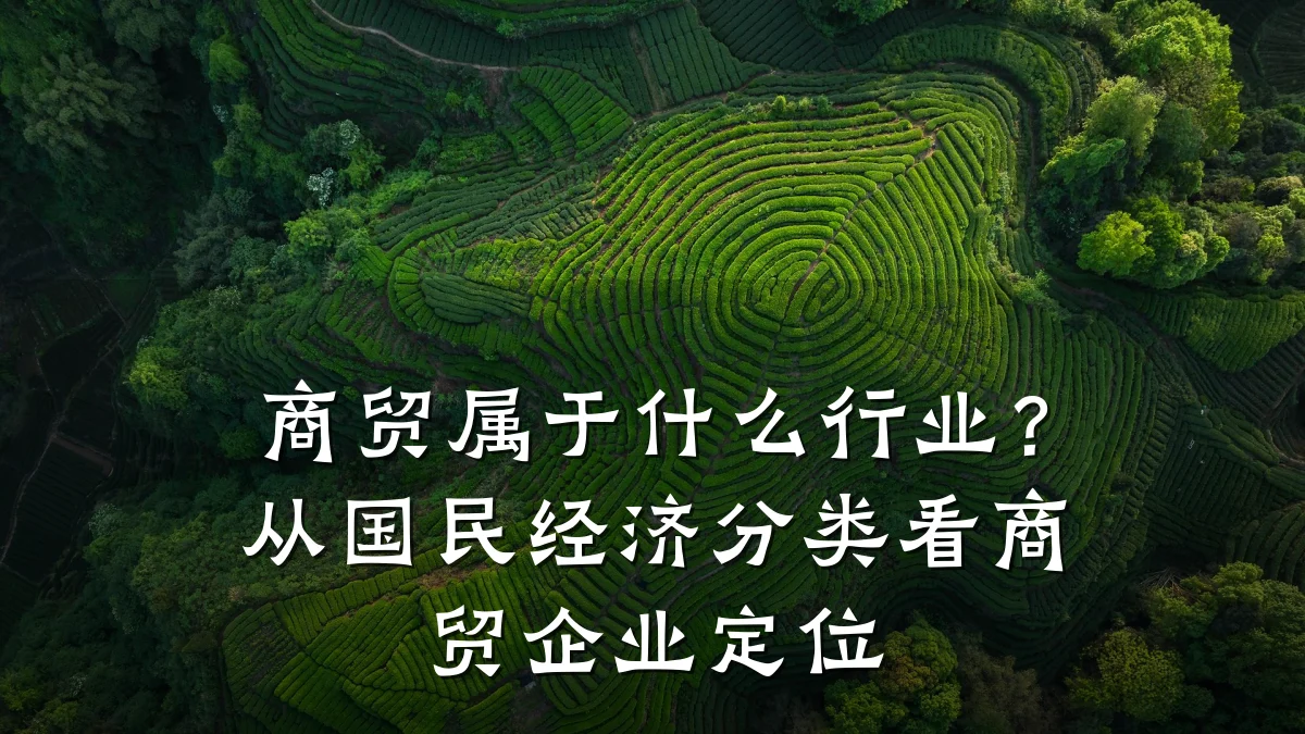 商贸属于什么行业?从国民经济分类看商贸企业定位