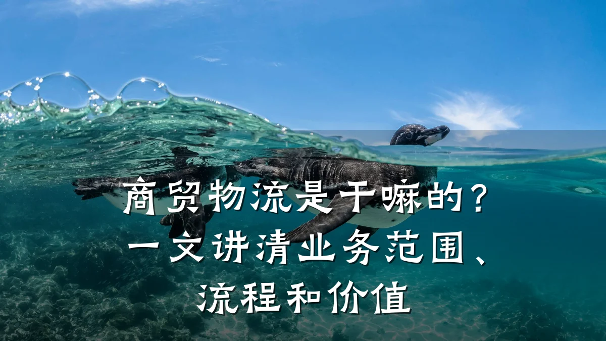 商贸物流是干嘛的？一文讲清业务范围、流程和价值