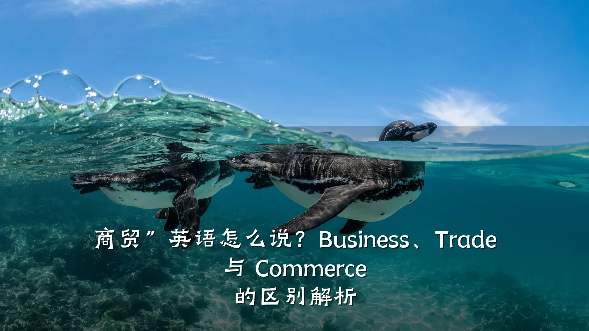 商贸”英语怎么说?Business、Trade 与 Commerce 的区别解析