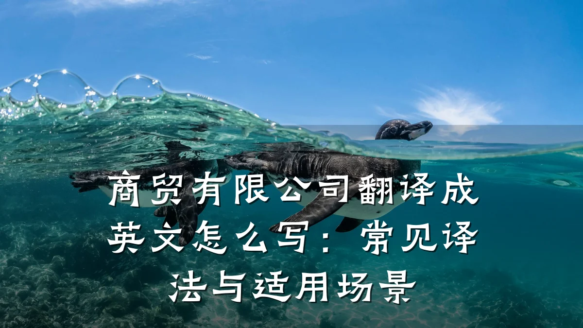 商贸有限公司翻译成英文怎么写:常见译法与适用场景
