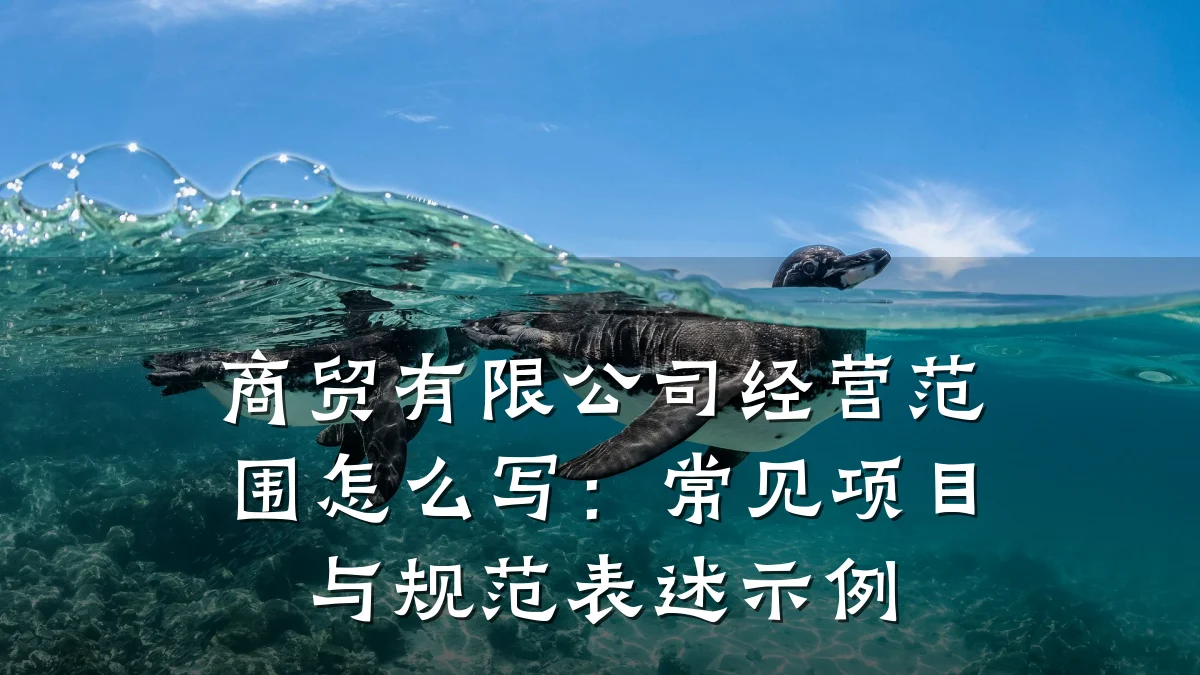 商贸有限公司经营范围怎么写:常见项目与规范表述示例