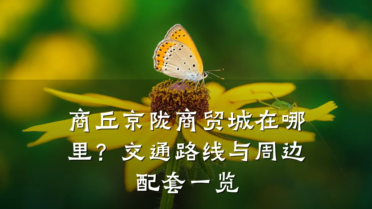 商丘京陇商贸城在哪里？交通路线与周边配套一览