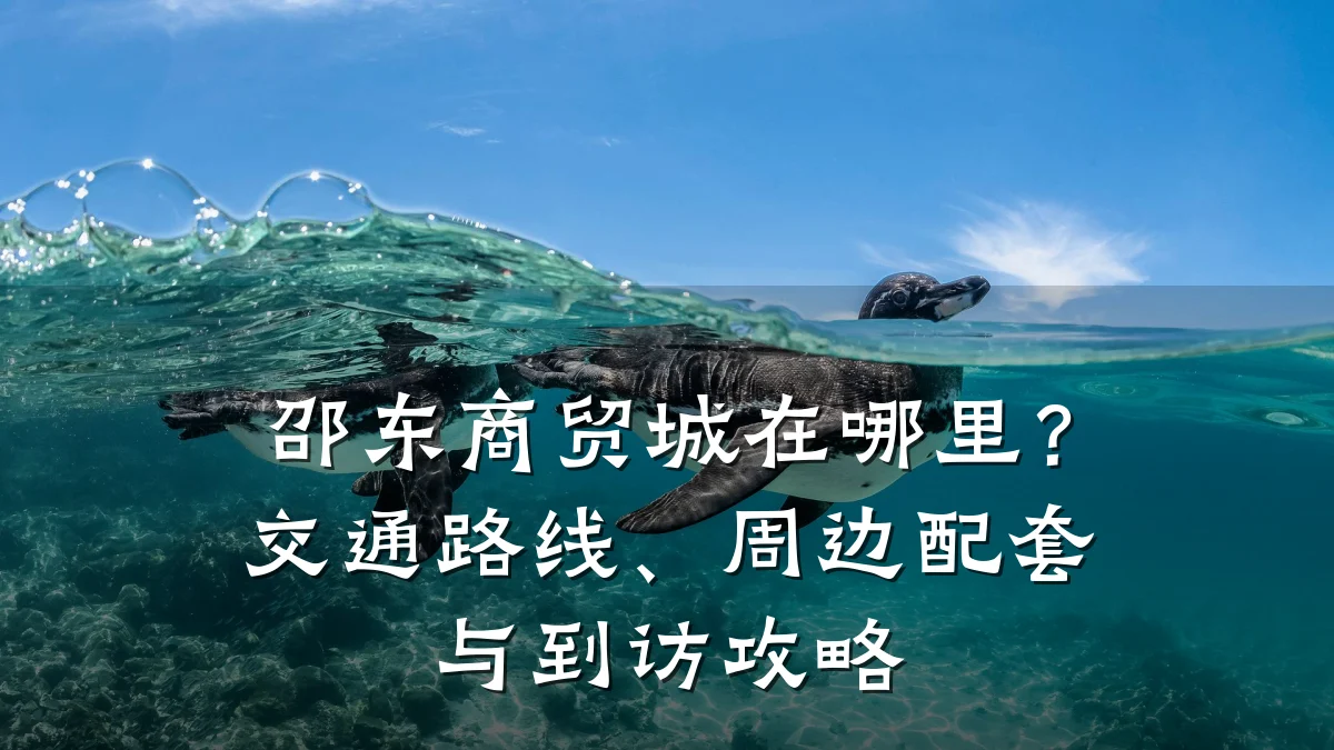 邵东商贸城在哪里?交通路线、周边配套与到访攻略