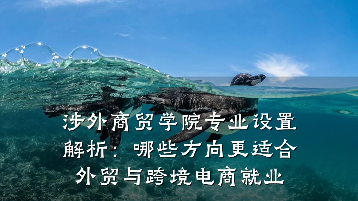 涉外商贸学院专业设置解析:哪些方向更适合外贸与跨境电商就业