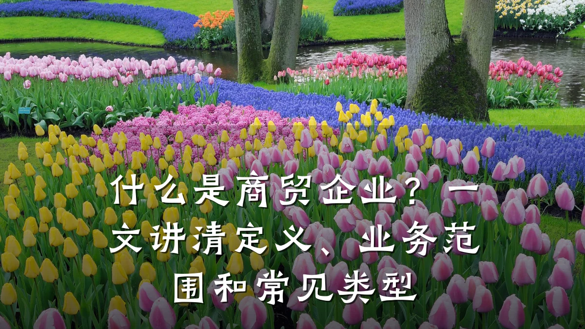 什么是商贸企业？一文讲清定义、业务范围和常见类型