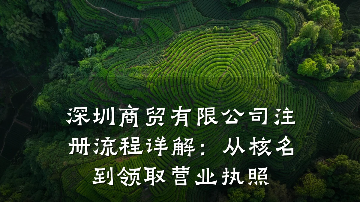 深圳商贸有限公司注册流程详解:从核名到领取营业执照