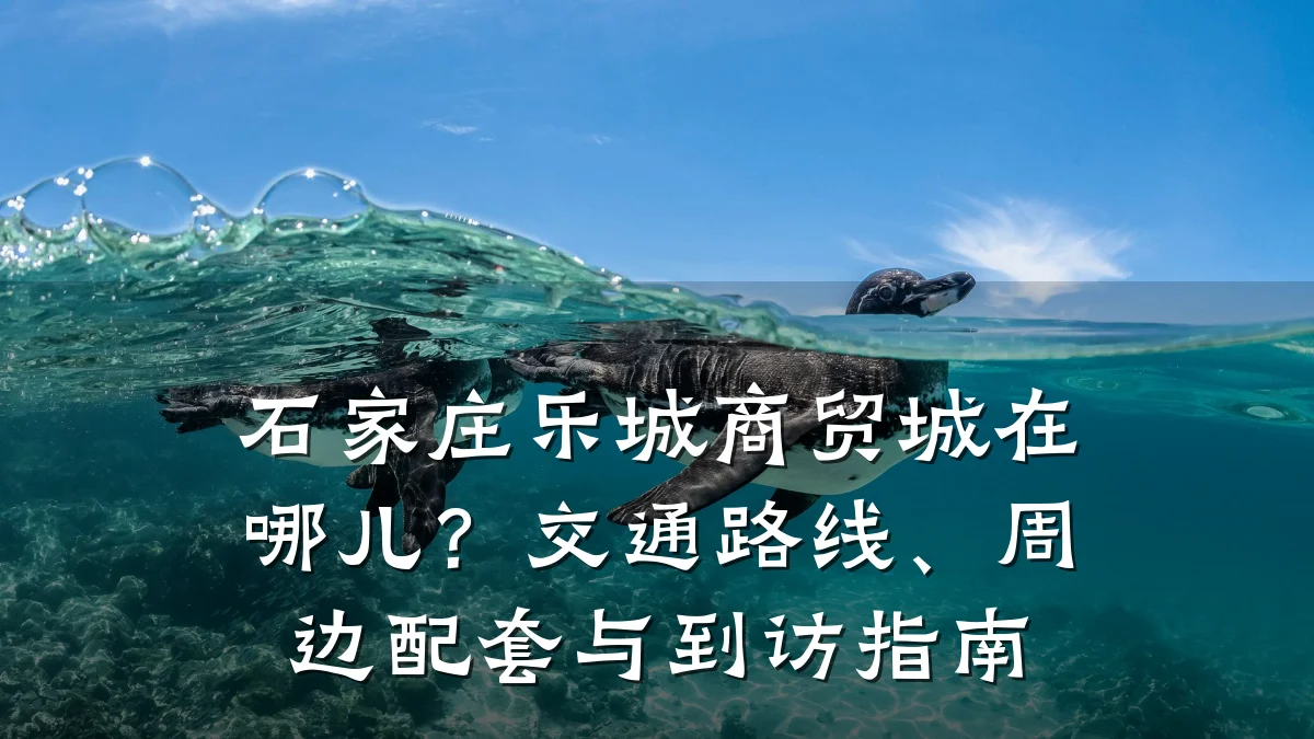 石家庄乐城商贸城在哪儿?交通路线、周边配套与到访指南
