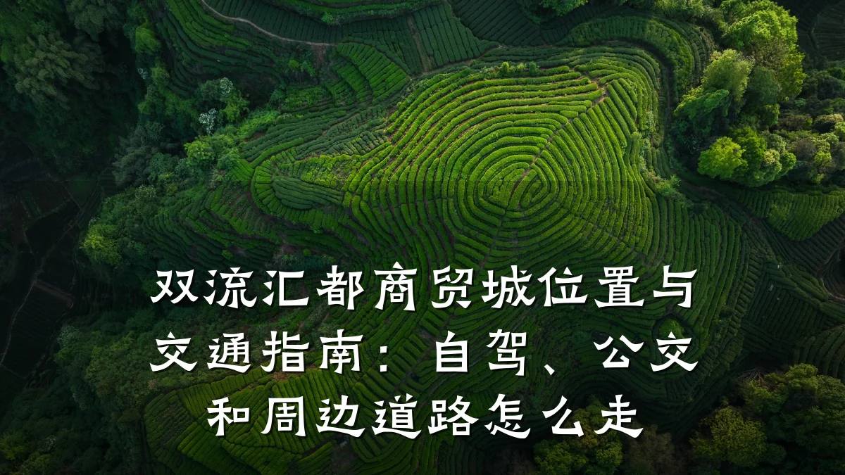 双流汇都商贸城位置与交通指南：自驾、公交和周边道路怎么走