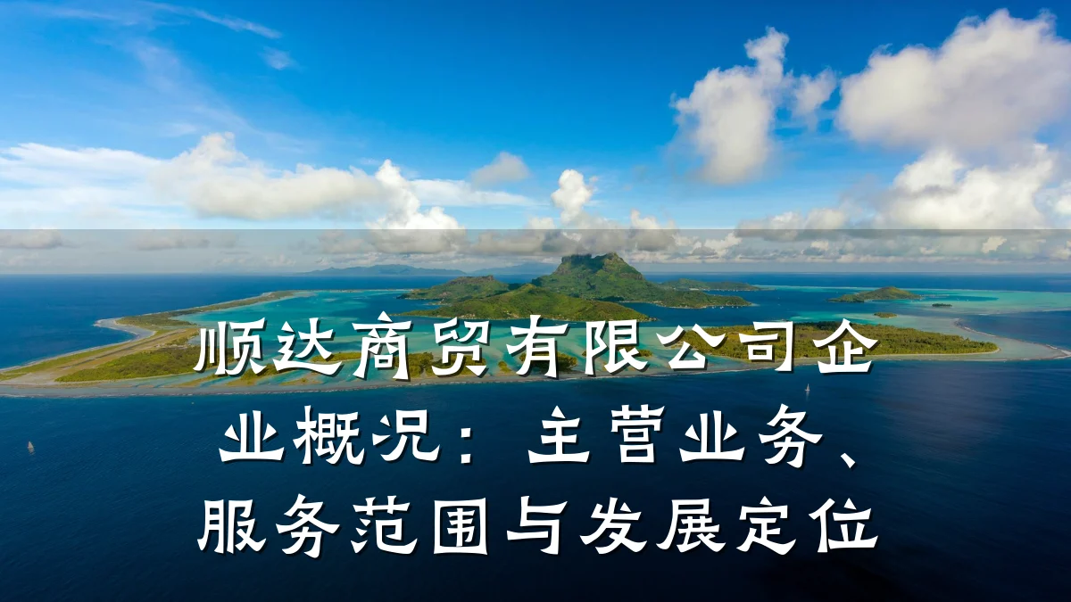 顺达商贸有限公司企业概况：主营业务、服务范围与发展定位