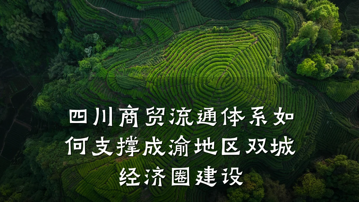 四川商贸流通体系如何支撑成渝地区双城经济圈建设