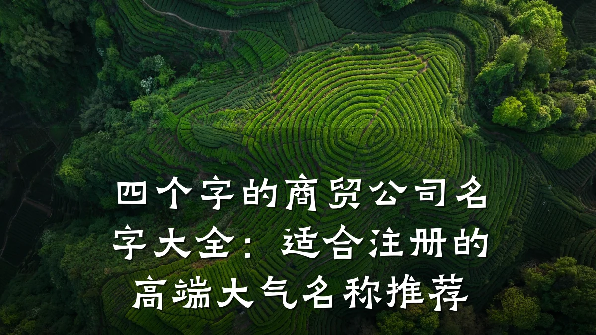 四个字的商贸公司名字大全:适合注册的高端大气名称推荐