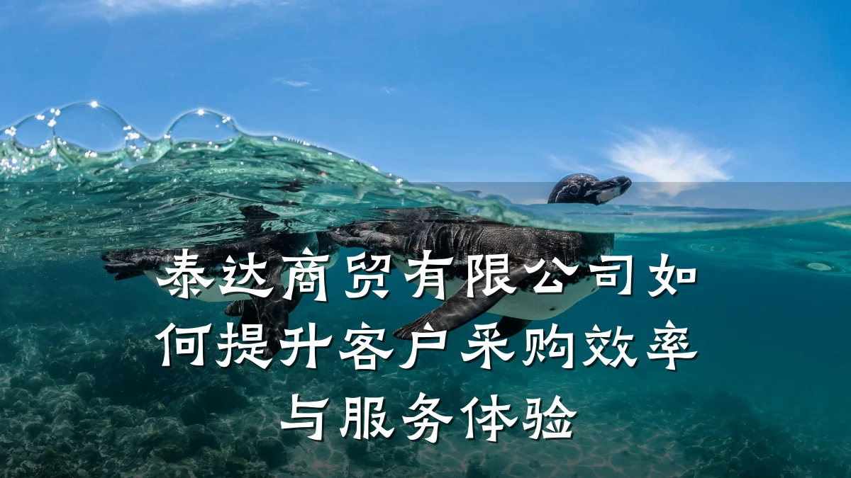 泰达商贸有限公司如何提升客户采购效率与服务体验