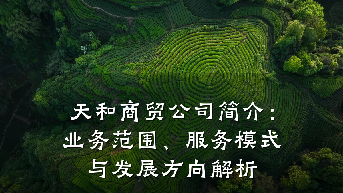 天和商贸公司简介：业务范围、服务模式与发展方向解析