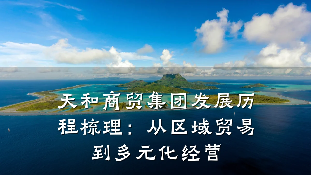 天和商贸集团发展历程梳理:从区域贸易到多元化经营
