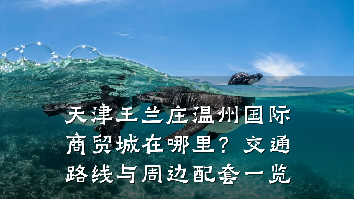 天津王兰庄温州国际商贸城在哪里？交通路线与周边配套一览