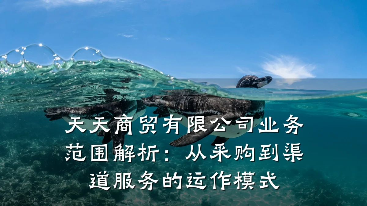 天天商贸有限公司业务范围解析:从采购到渠道服务的运作模式