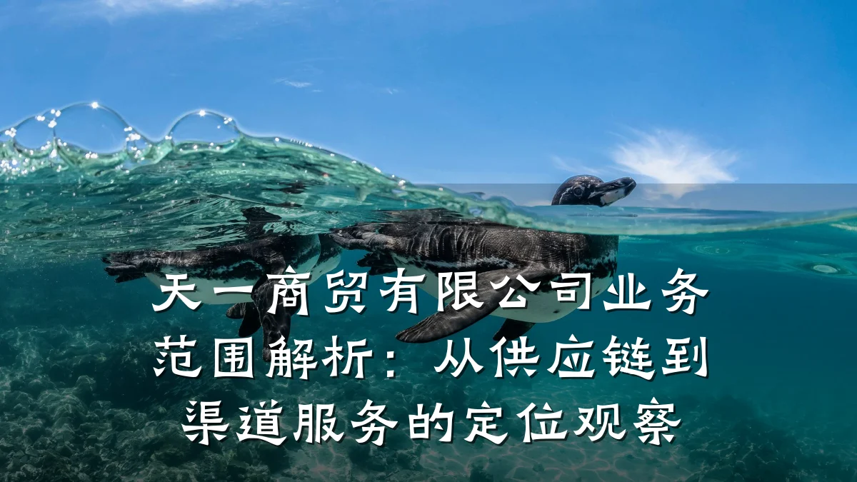 天一商贸有限公司业务范围解析:从供应链到渠道服务的定位观察
