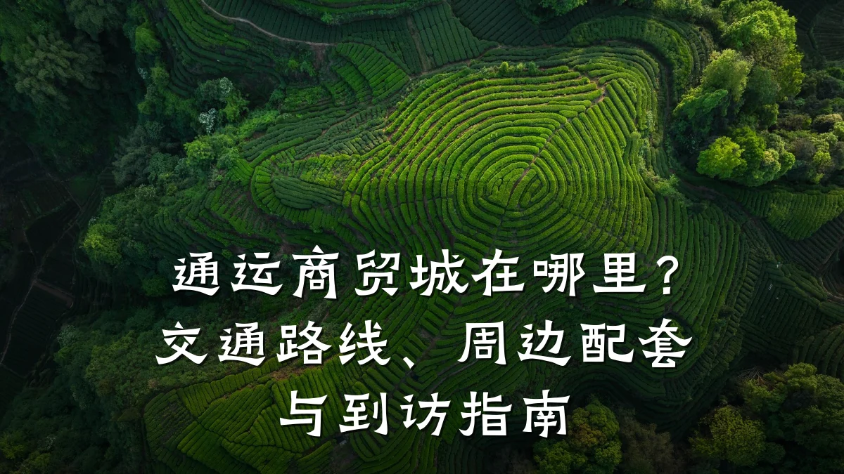 通运商贸城在哪里?交通路线、周边配套与到访指南