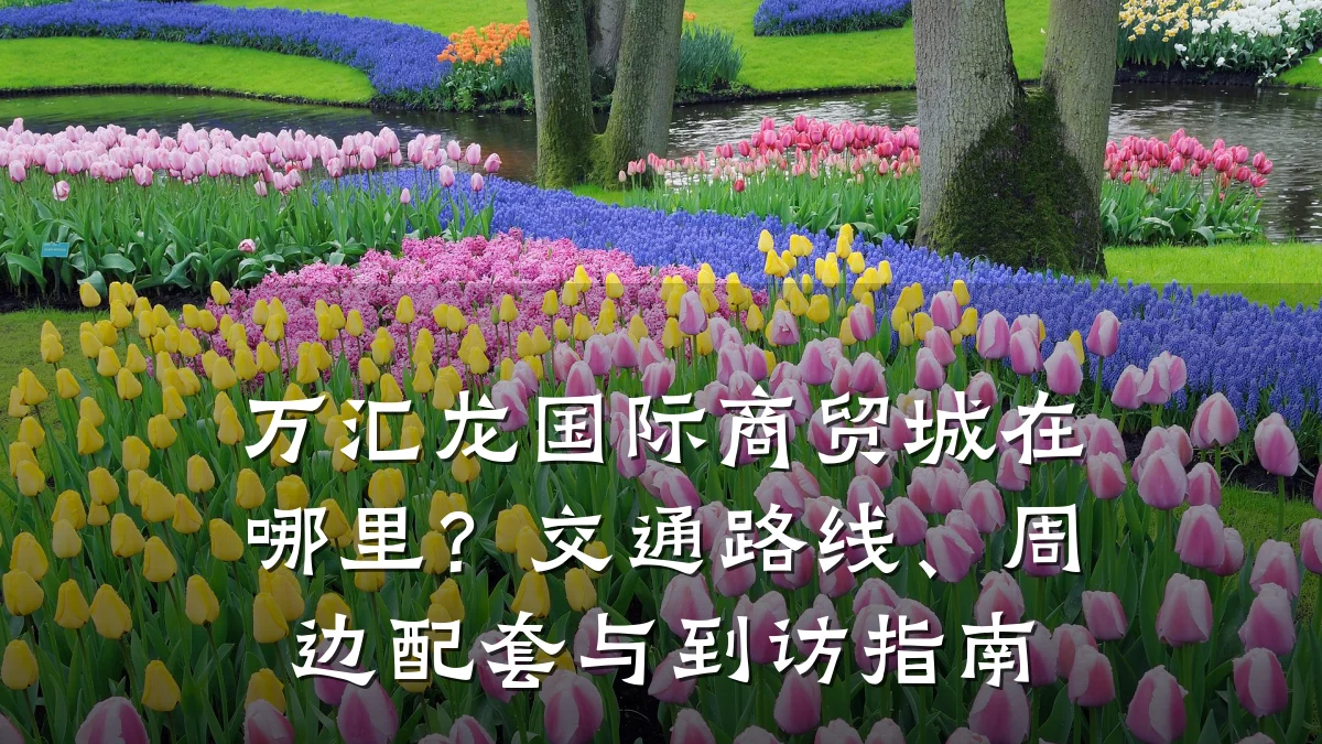万汇龙国际商贸城在哪里?交通路线、周边配套与到访指南