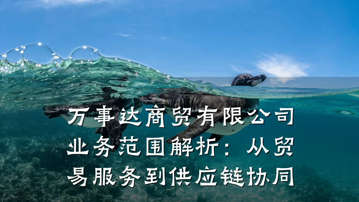 万事达商贸有限公司业务范围解析:从贸易服务到供应链协同