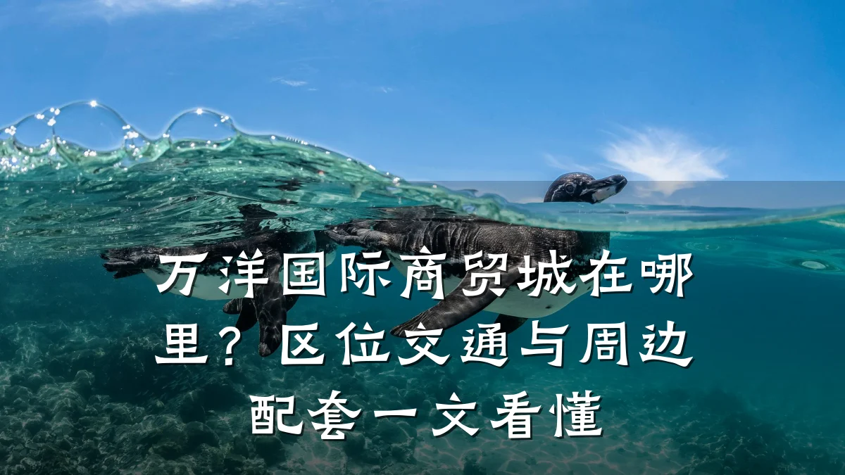 万洋国际商贸城在哪里?区位交通与周边配套一文看懂