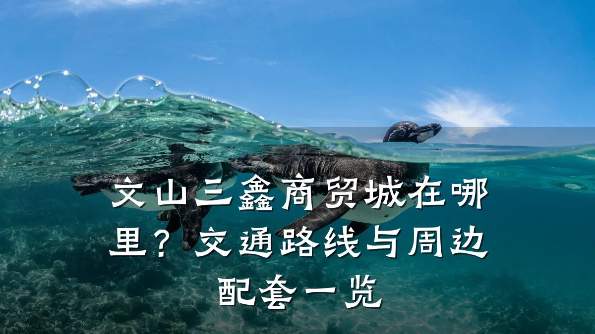 文山三鑫商贸城在哪里?交通路线与周边配套一览