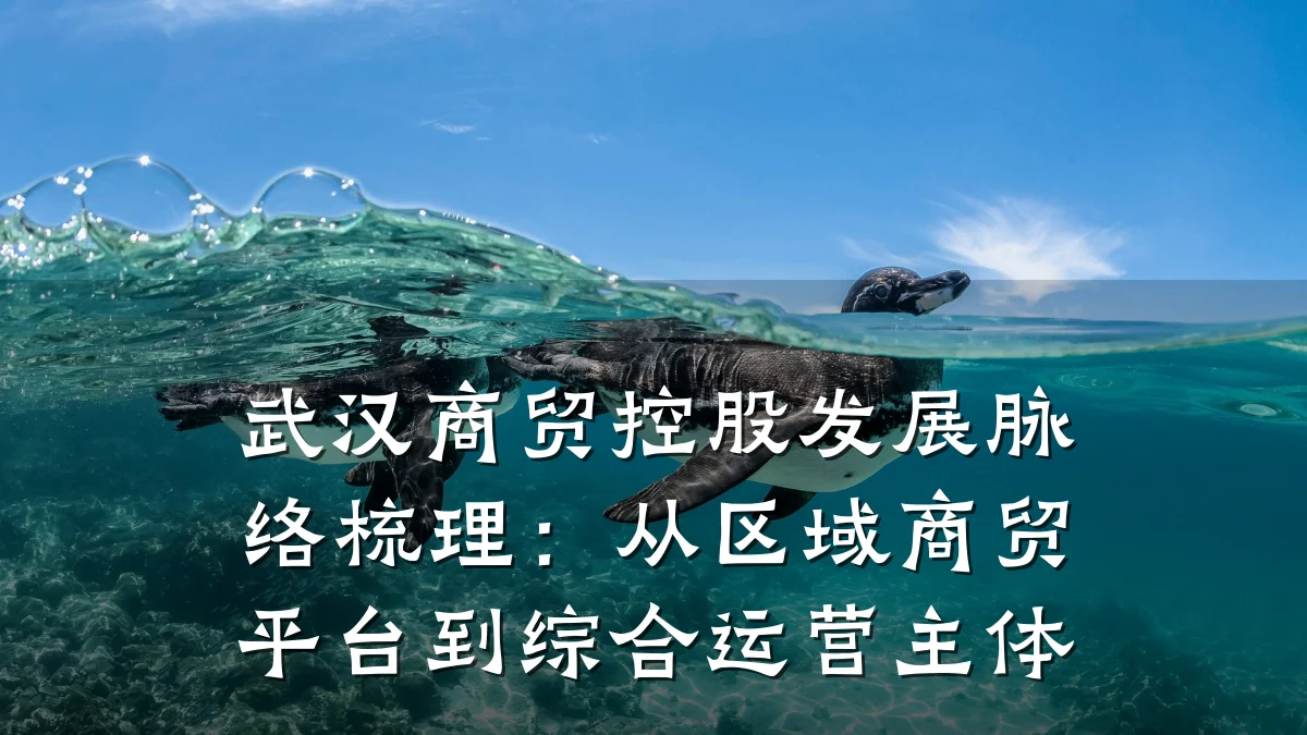 武汉商贸控股发展脉络梳理:从区域商贸平台到综合运营主体