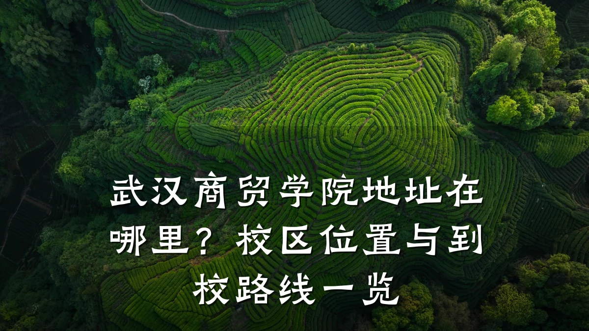 武汉商贸学院地址在哪里?校区位置与到校路线一览