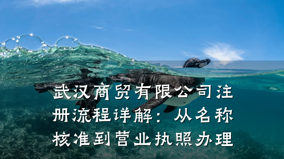 武汉商贸有限公司注册流程详解:从名称核准到营业执照办理