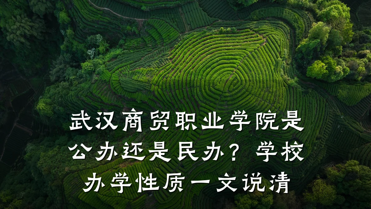 武汉商贸职业学院是公办还是民办?学校办学性质一文说清