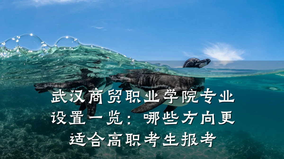 武汉商贸职业学院专业设置一览:哪些方向更适合高职考生报考