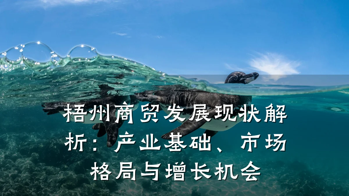 梧州商贸发展现状解析:产业基础、市场格局与增长机会