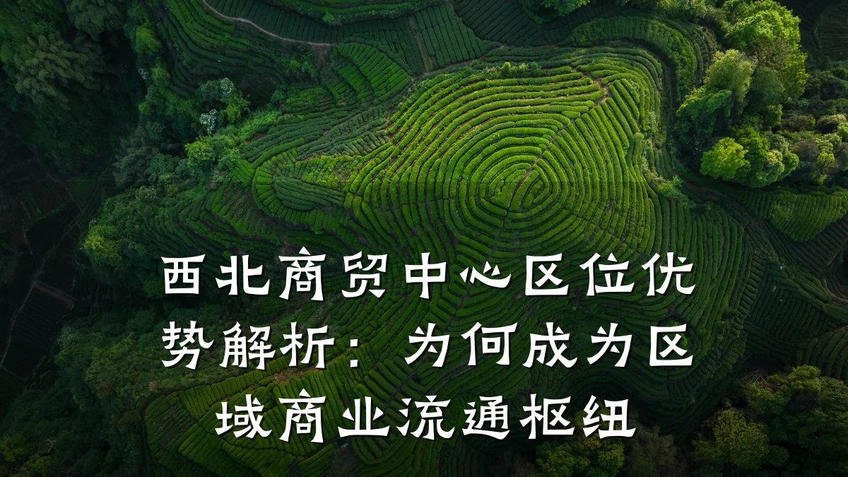 西北商贸中心区位优势解析：为何成为区域商业流通枢纽