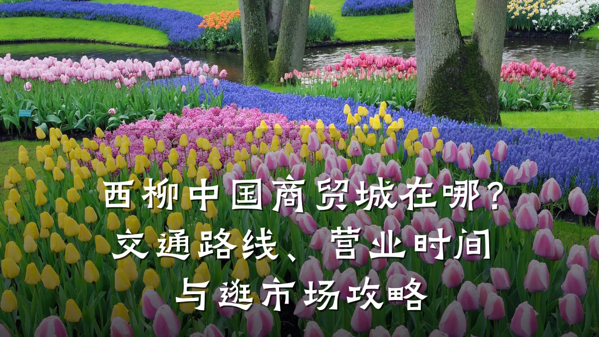 西柳中国商贸城在哪？交通路线、营业时间与逛市场攻略