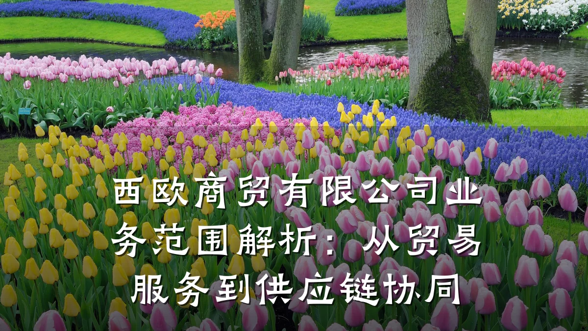 西欧商贸有限公司业务范围解析:从贸易服务到供应链协同