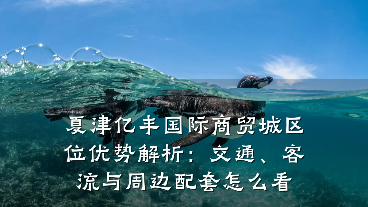 夏津亿丰国际商贸城区位优势解析:交通、客流与周边配套怎么看