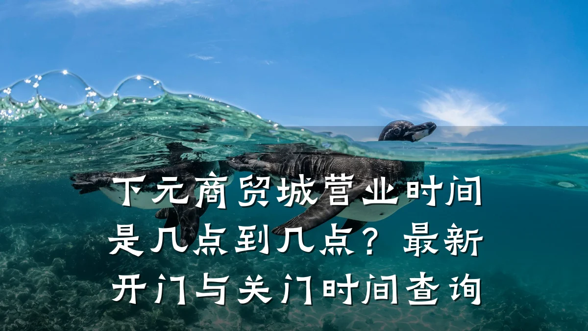 下元商贸城营业时间是几点到几点？最新开门与关门时间查询