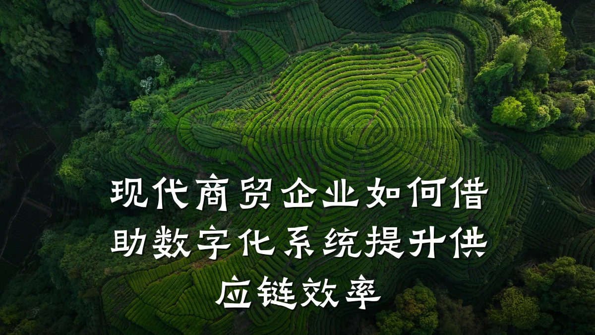现代商贸企业如何借助数字化系统提升供应链效率